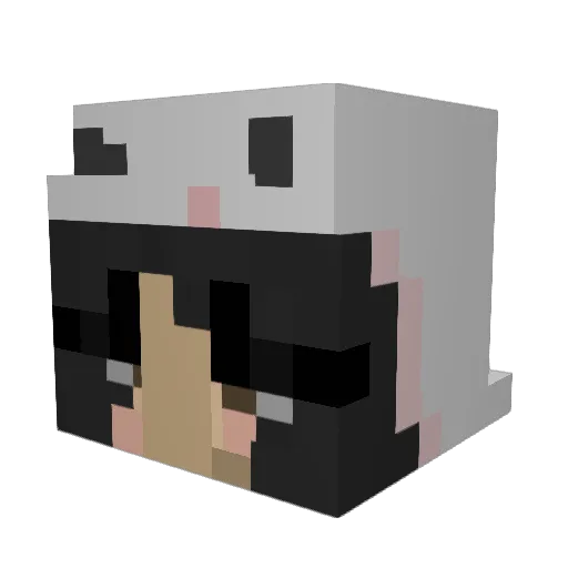 ihaveabighead Minecraft avatar head, 3D render
