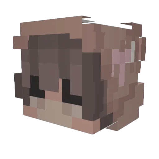 ihaveadumbdoggo Minecraft avatar head, 3D render