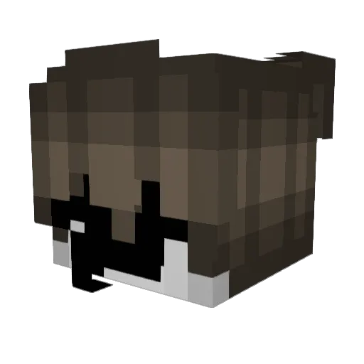 ihavefakenames Minecraft avatar head, 3D render