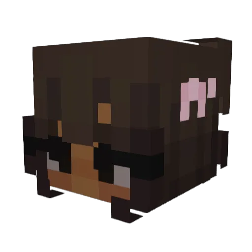 iheartpink Minecraft avatar head, 3D render