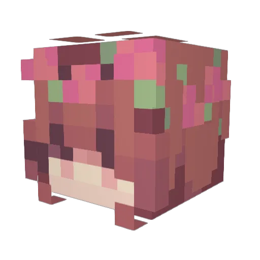 iheartsoobi Minecraft avatar head, 3D render