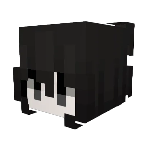 ihyRanch Minecraft avatar head, 3D render