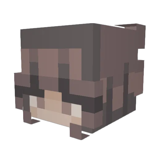 ihylynn Minecraft avatar head, 3D render