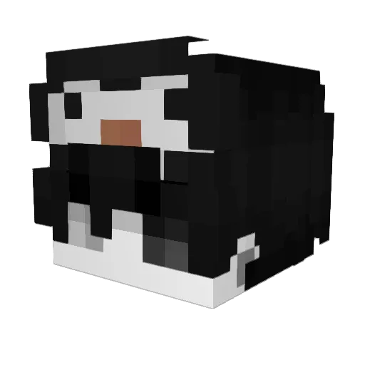 iiAMGii Minecraft avatar head, 3D render