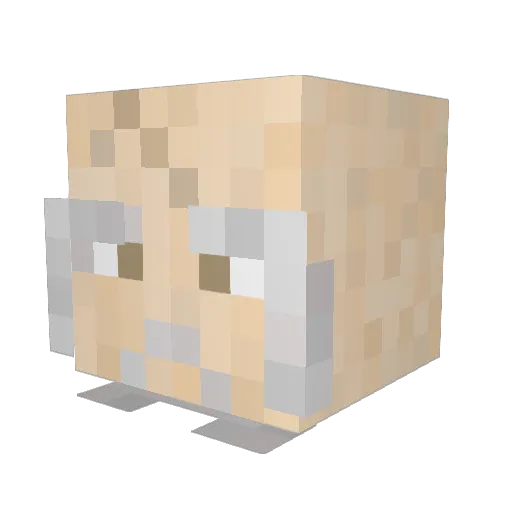 iiASG Minecraft avatar head, 3D render