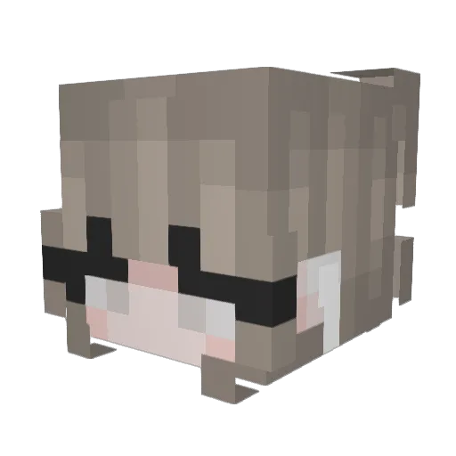 iiAim Minecraft avatar head, 3D render