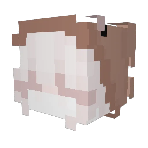iiAnpu Minecraft avatar head, 3D render