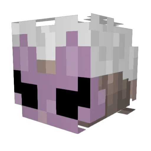 iiAsall Minecraft avatar head, 3D render