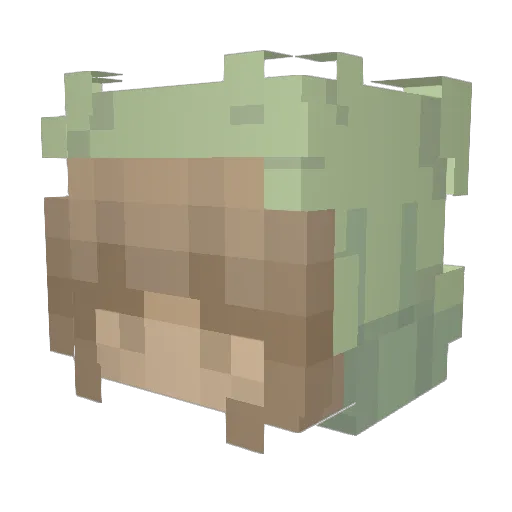 iiAshlee Minecraft avatar head, 3D render