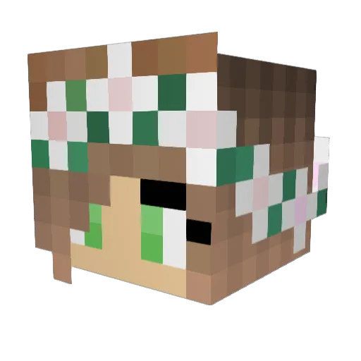 iiBLMii Minecraft avatar head, 3D render