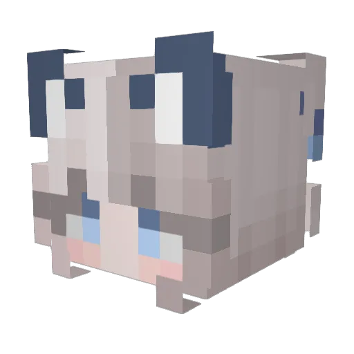 iiDarkey Minecraft avatar head, 3D render