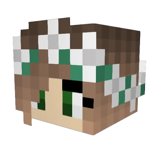 iiDrTurtlez Minecraft avatar head, 3D render