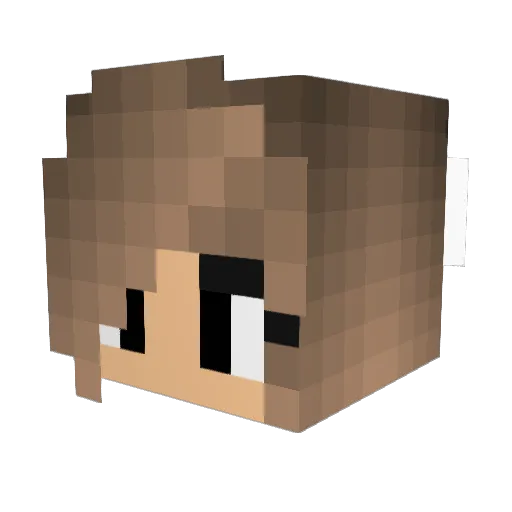 iiExpiredRaisin Minecraft avatar head, 3D render