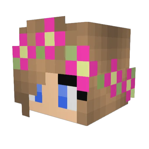 iiFrosss Minecraft avatar head, 3D render