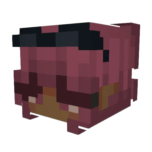 iiHxneyBear Minecraft avatar head, 3D render
