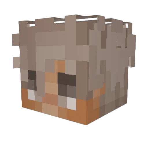 iiKing_Reekii Minecraft avatar head, 3D render