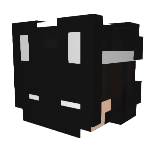 iiM7MoDY_N Minecraft avatar head, 3D render