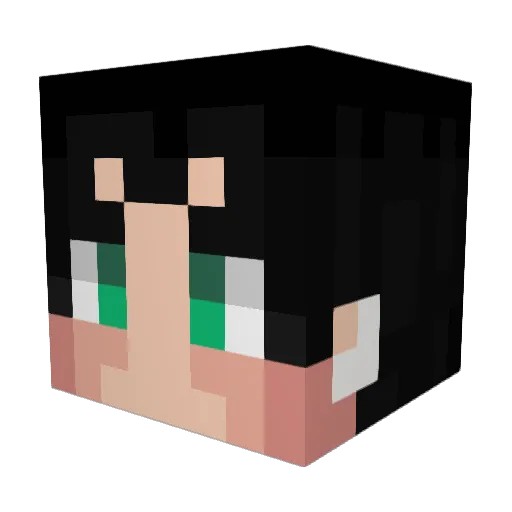 iiMhii Minecraft avatar head, 3D render