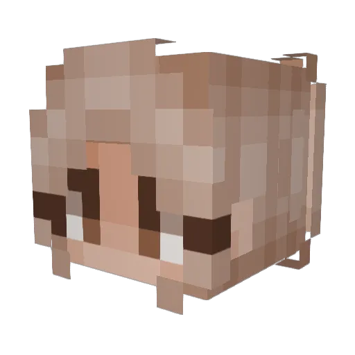 iiOMGamer Minecraft avatar head, 3D render