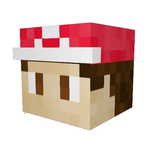 iiOstin Minecraft avatar head, 3D render