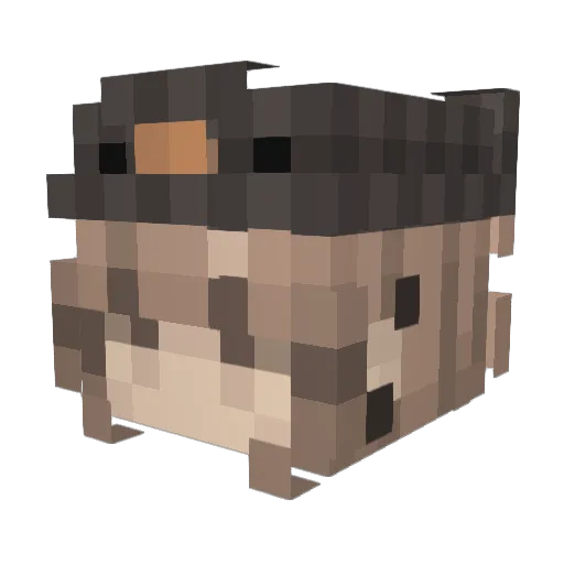 iiPlagueis Minecraft avatar head, 3D render