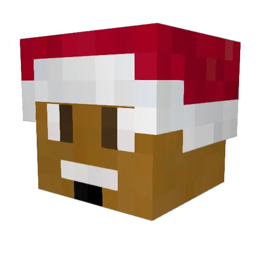 iiReHab Minecraft avatar head, 3D render