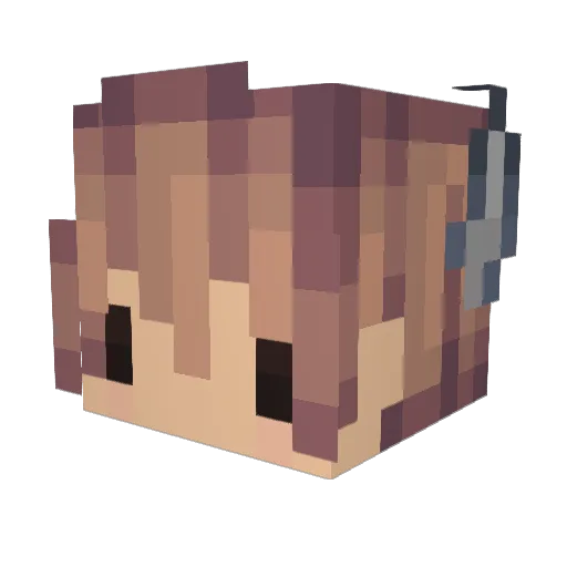 iiRyeAmBreqd42 Minecraft avatar head, 3D render