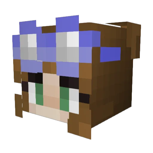 iiSolFlowerii Minecraft avatar head, 3D render