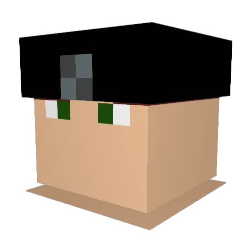iiToxicAcid Minecraft avatar head, 3D render