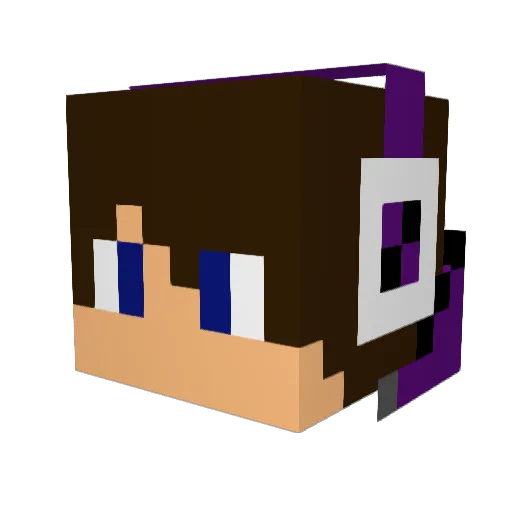 iiTragic Minecraft avatar head, 3D render