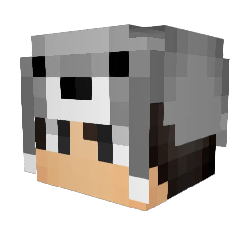 iiTzShadow Minecraft avatar head, 3D render