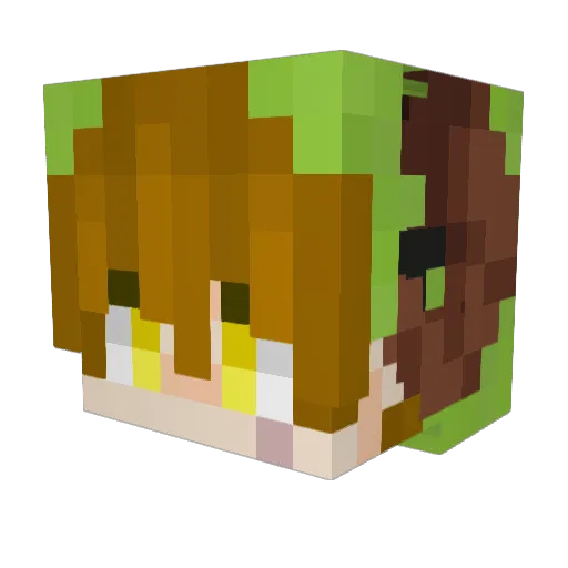 iiWhovian Minecraft avatar head, 3D render