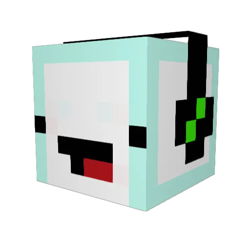 ii_ALOHA_ii Minecraft avatar head, 3D render