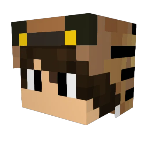 ii_Calamity Minecraft avatar head, 3D render