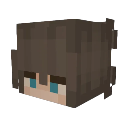 ii_Jynx Minecraft avatar head, 3D render