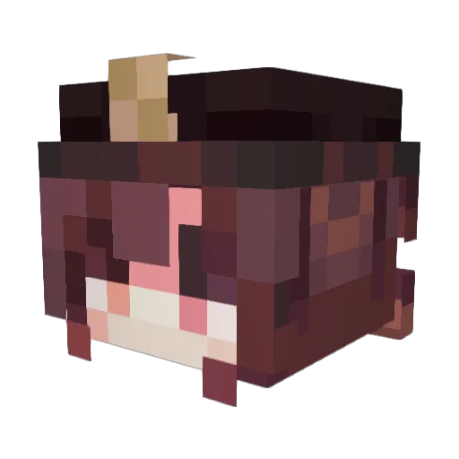 ii_T0ast Minecraft avatar head, 3D render