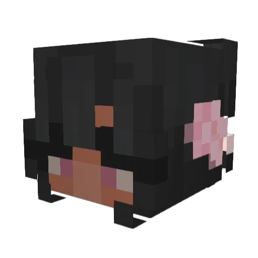 iibrianax Minecraft avatar head, 3D render