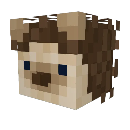 iideootti Minecraft avatar head, 3D render