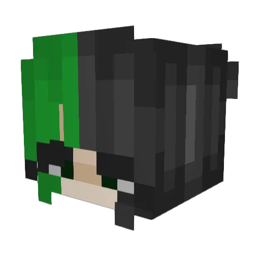 iificouldflyy Minecraft avatar head, 3D render