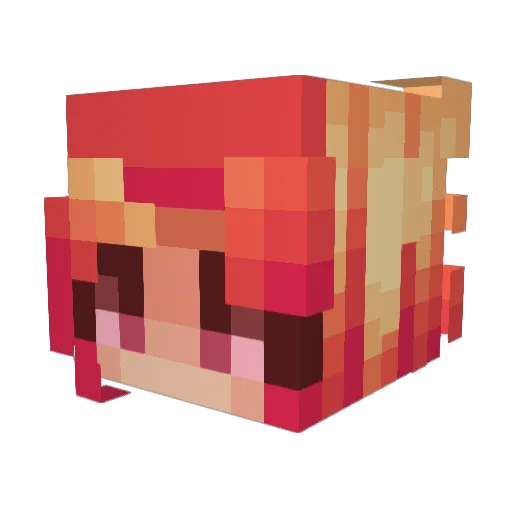iigniis Minecraft avatar head, 3D render