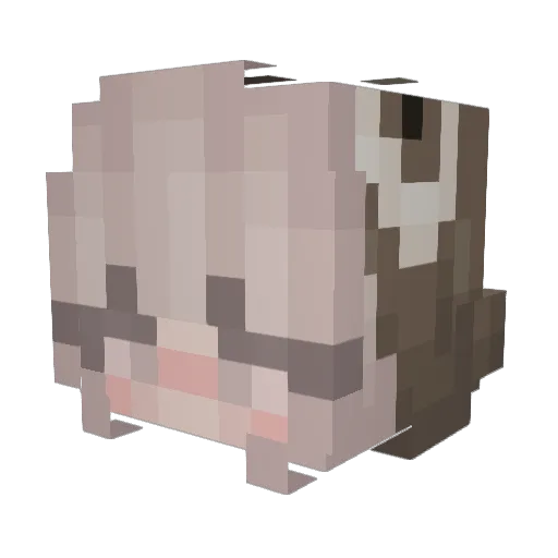 iilarz Minecraft avatar head, 3D render