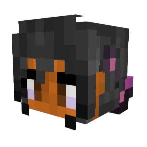 iilovemomo Minecraft avatar head, 3D render