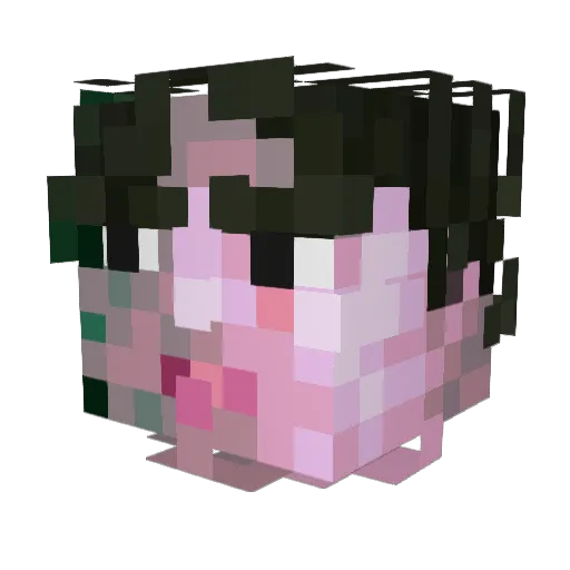 iilt Minecraft avatar head, 3D render