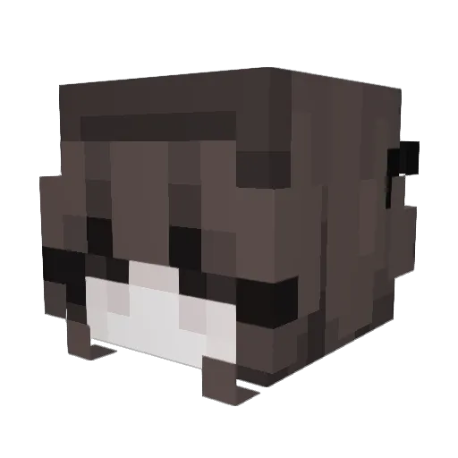 iilxwq Minecraft avatar head, 3D render