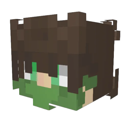 iimSureshot Minecraft avatar head, 3D render
