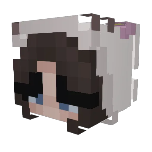 iinalol Minecraft avatar head, 3D render
