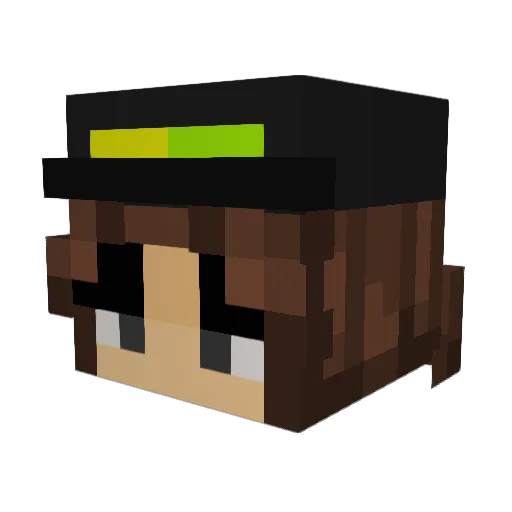 iinis11 Minecraft avatar head, 3D render
