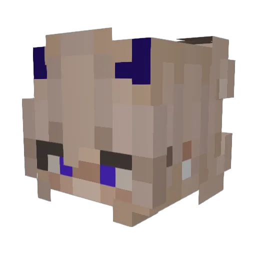 iinsomiac Minecraft avatar head, 3D render