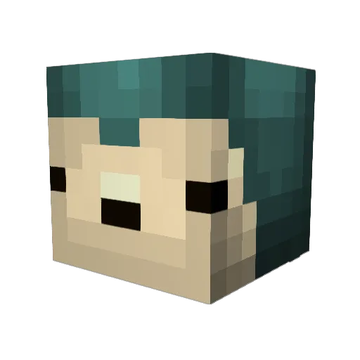 iipidip Minecraft avatar head, 3D render