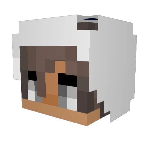 iirp Minecraft avatar head, 3D render